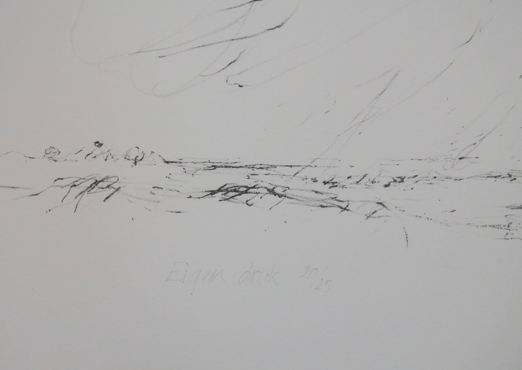 Willem den Ouden: Litho, Contre jour II kopen? Bied vanaf 70!