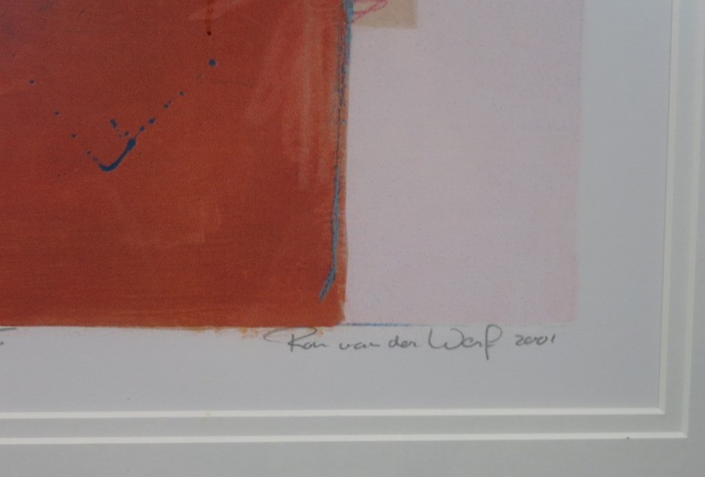 Ron van der Werf: Zeefdruk, Symfonie II - Ingelijst (groot) kopen? Bied vanaf 60!