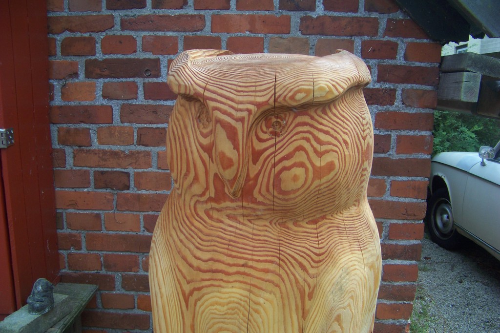 Grote Uil kopen? Bied vanaf 50!