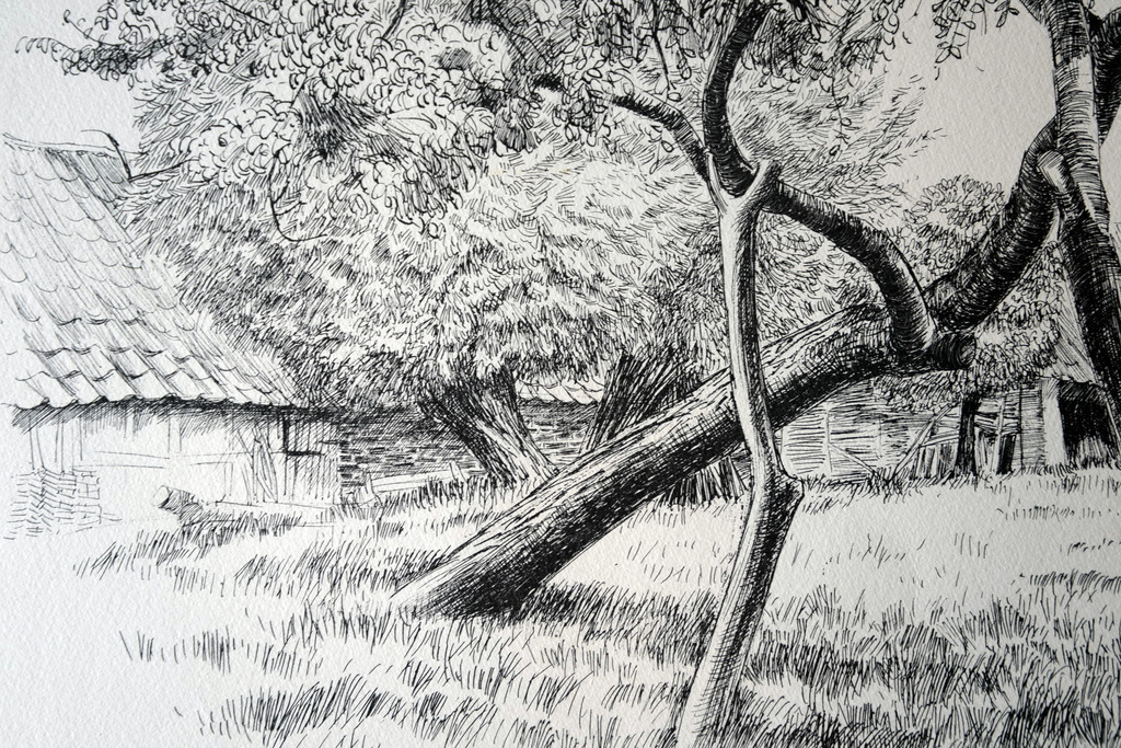 Patrick Creyghton - ETS - ' Boomgaard ' 1977 - gesigneerd  - Nr. 20/60 verkocht voor € 99!