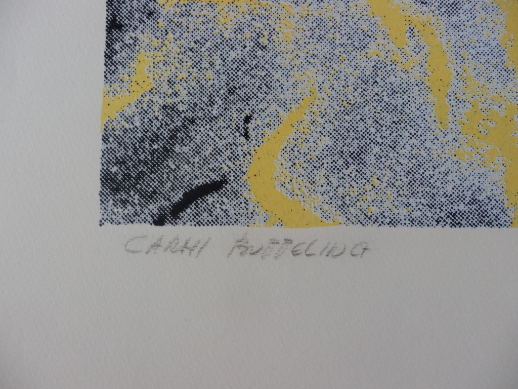 CARMI BUTTELING   Zeefdruk   DE ZEE    Handgesigneerd   SLECHTS 24EX!!! kopen? Bied vanaf 45!