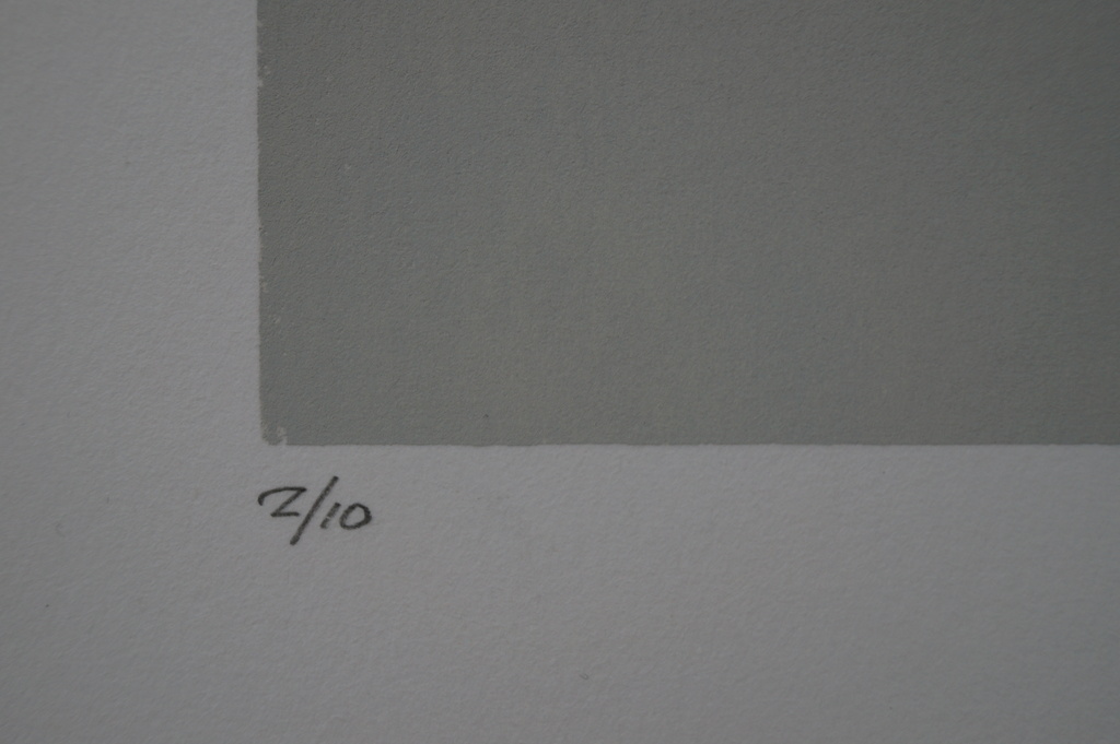 Rens Labruyere - gesigneerde zeefdruk - 2008 kopen? Bied vanaf 25!