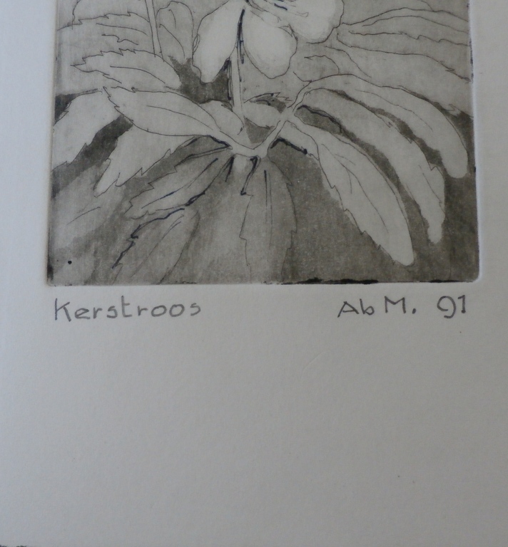 Ab. M. ets: Kerstroos - 1991 kopen? Bied vanaf 1!