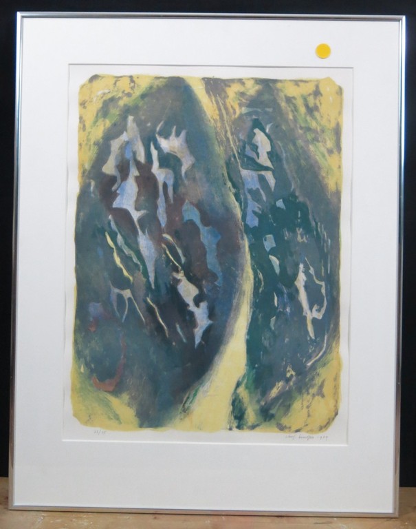 Chris Buursen: Litho, Z.T. - Ingelijst kopen? Bied vanaf 30!