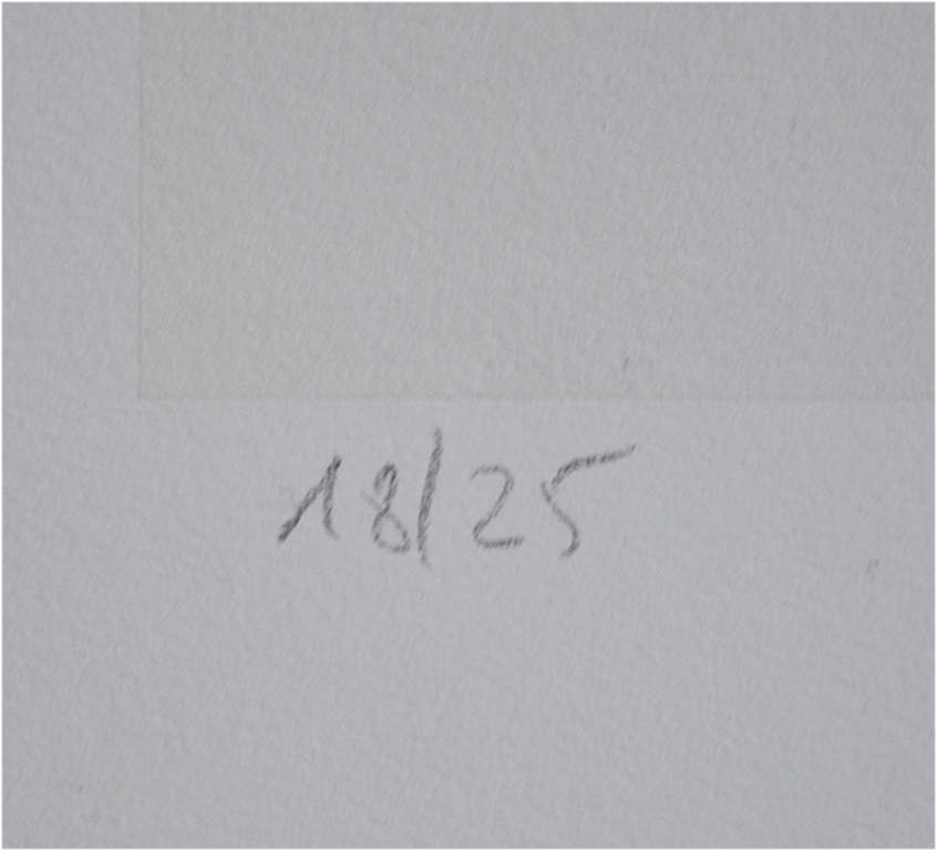 Armando, kleuren giclee, handgesigneerd, oplage 25, 2015 kopen? Bied vanaf 1!