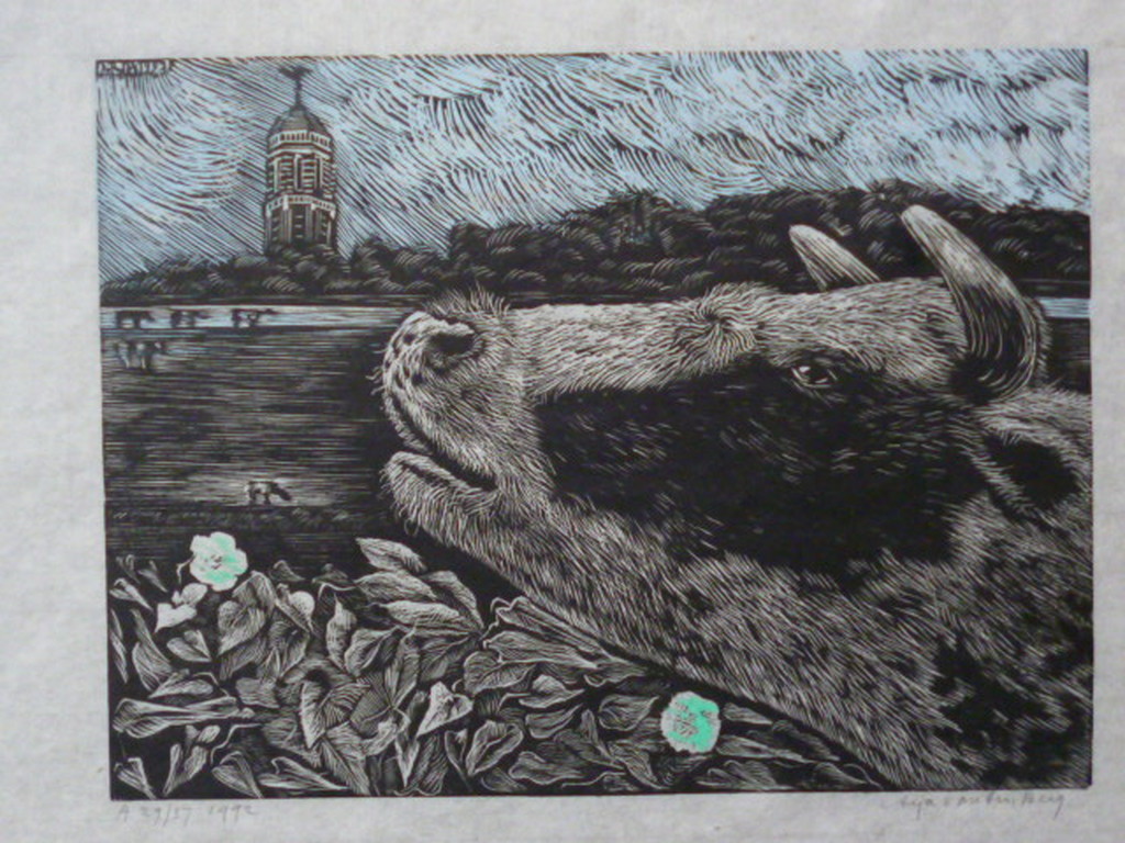 Arja van den Berg - houtgravure - Koeien aan de IJssel bij Zwolle verkocht voor € 40!