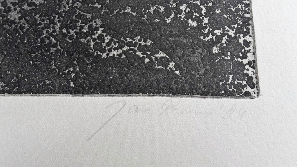 Jan Prins - Windvlaag - Gesigneerd 84 - Ets kopen? Bied vanaf 1!