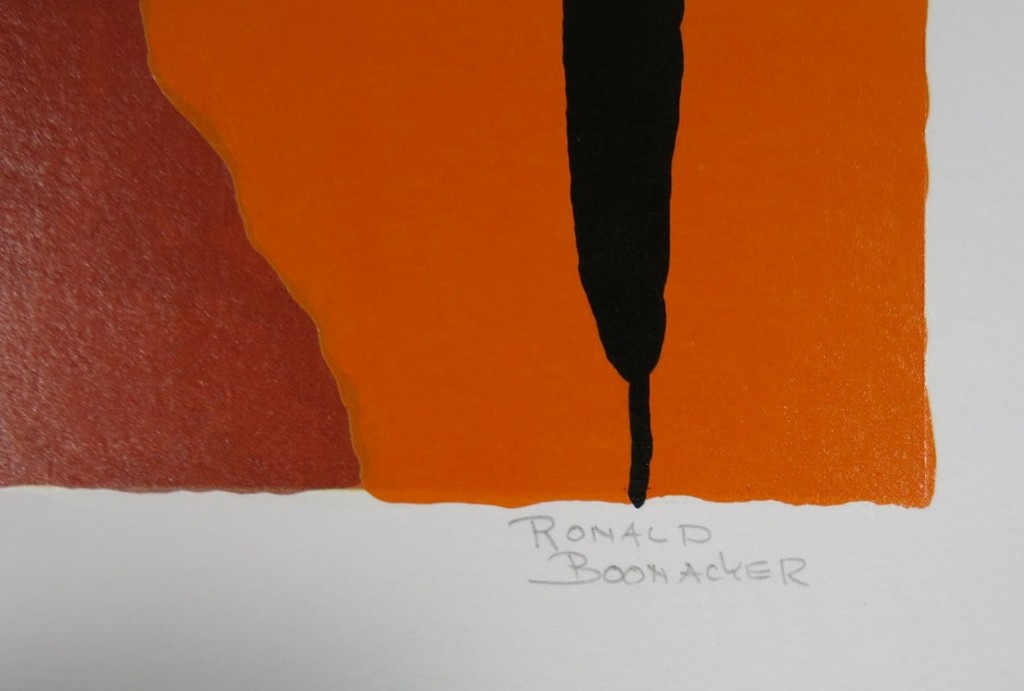 Ronald Boonacker: Zeefdruk, Lago di Garda I Italy kopen? Bied vanaf 60!