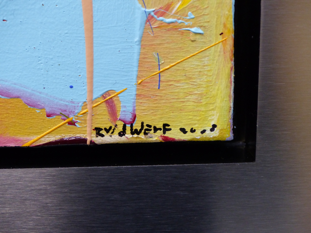 Ron v/d Werf,Olieverf op doek, Handgesigneerd,Orgineel,rvs Ingelijst, kopen? Bied vanaf 200!