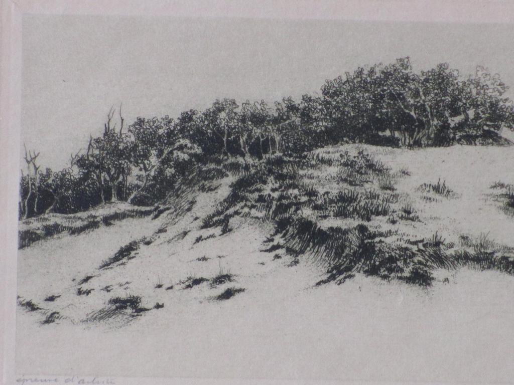 Dirk Harting, Duingezicht, Ets  kopen? Bied vanaf 25!