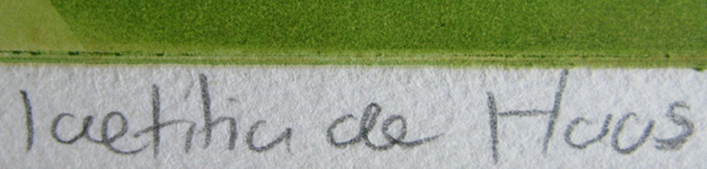 Laetitia de Haas - HORTENSIATUIN I - kleurets kopen? Bied vanaf 1!