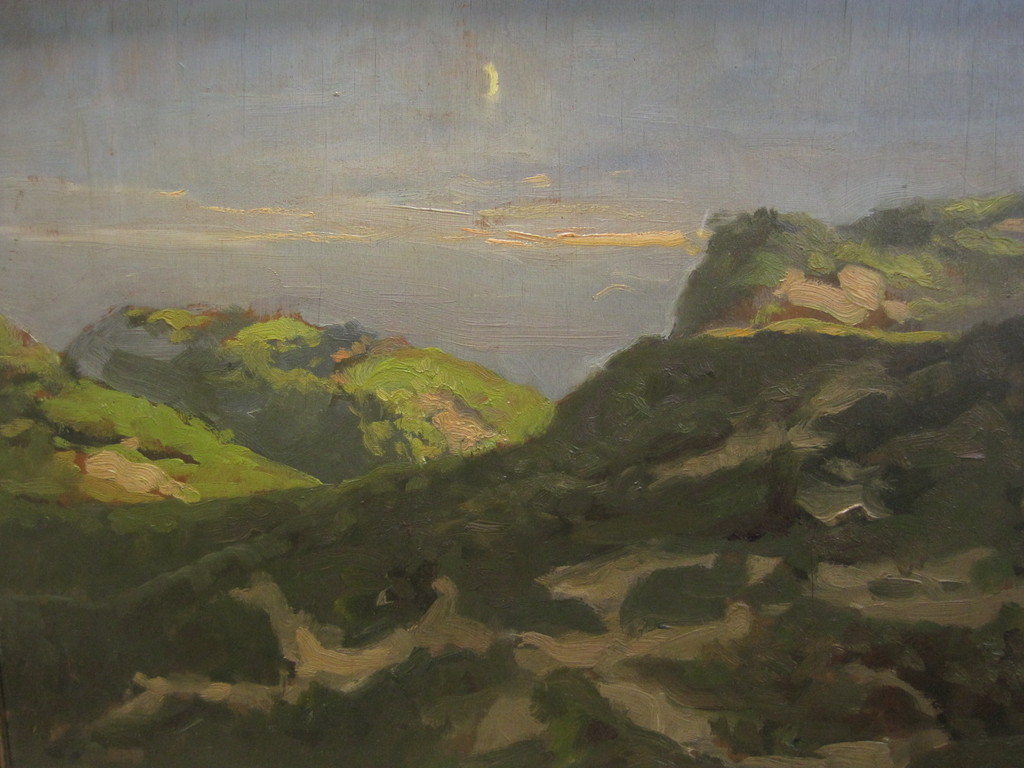 Sfeervol impressionistisch olieverf "Duinlandschap bij maanlicht" gesigneerd  kopen? Bied vanaf 1!