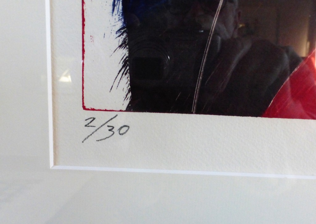 Dana Andreev  : Kleurenets , The Wish kopen? Bied vanaf 85!