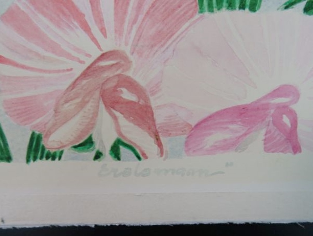 Harry Vink: Aquarel en drybrush, Erotomaan kopen? Bied vanaf 1!