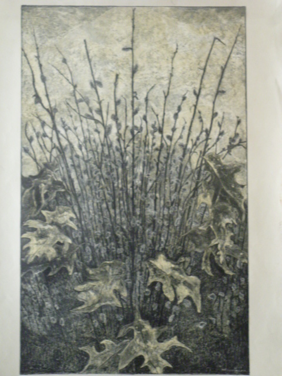 H.B.Dieperink - kleurenlitho - Wilgenkatjes kopen? Bied vanaf 20!