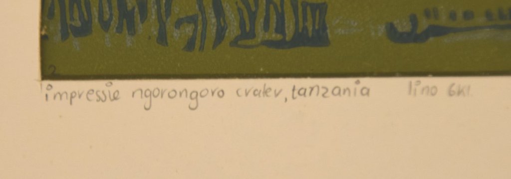 Janke de Vries - Linosnede - Impressie Ngorongaro Cralev, Tanzania kopen? Bied vanaf 14!