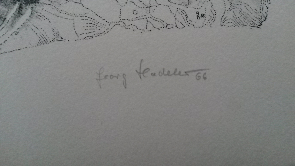 Droom  kopen? Bied vanaf 10!