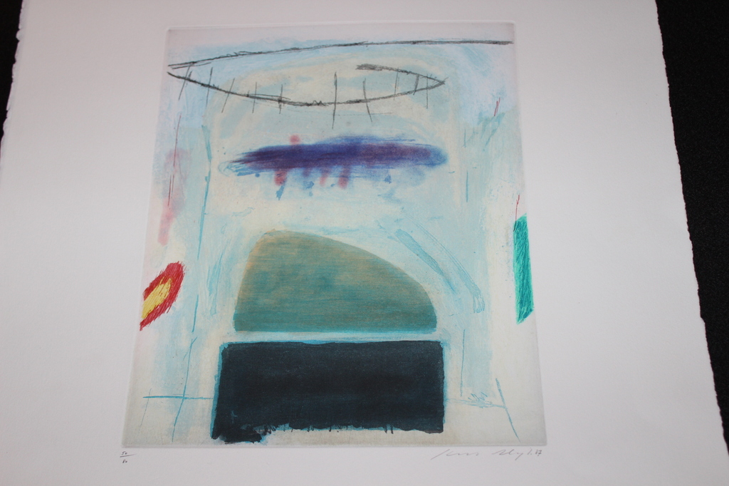 Litho kunstenaar  niet bekend kopen? Bied vanaf 15!