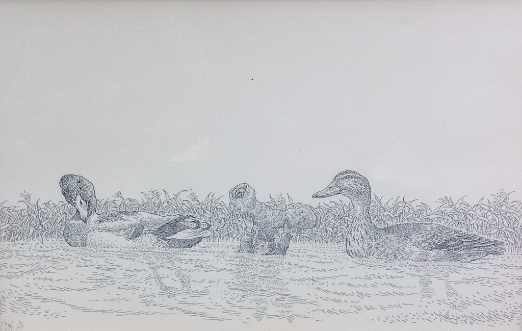 Peter Vos, Eendjes verkocht voor € 180!