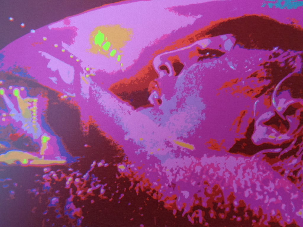 Henk van der Vet, HANDGESIGNEERDE Zeefdruk MADONNA kopen? Bied vanaf 14!