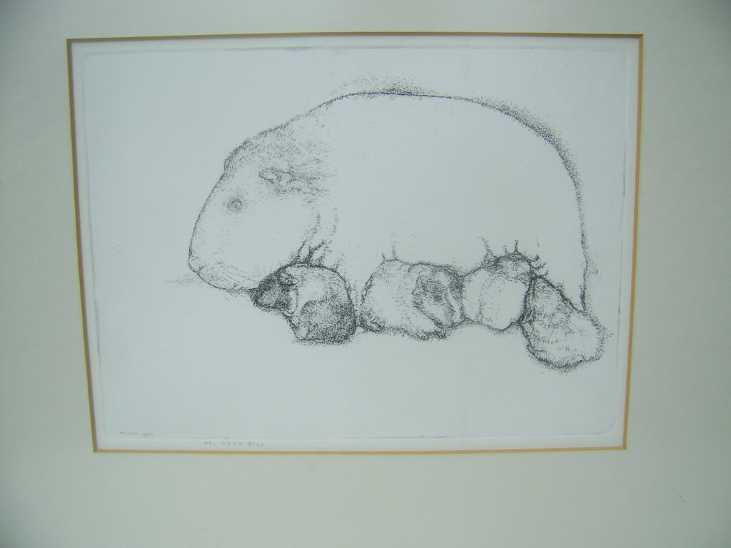 Nel Koen 1934 : Ets 4/25 kopen? Bied vanaf 30!