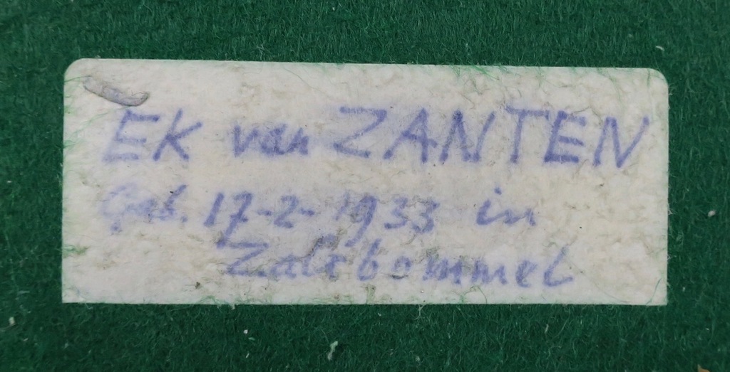 Ek van Zanten: Bronzen beeld, Pauw  kopen? Bied vanaf 1!