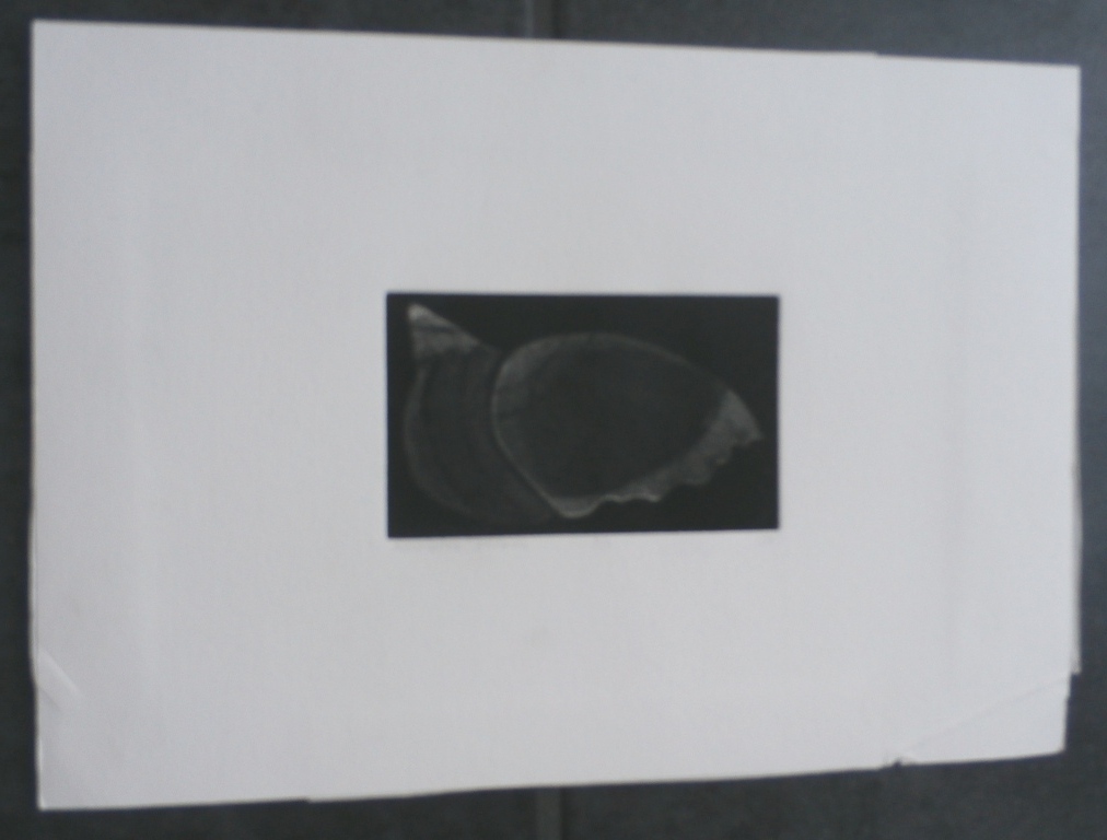 Laatste keer: Henrietta Harkink - ets - 1986 kopen? Bied vanaf 10!