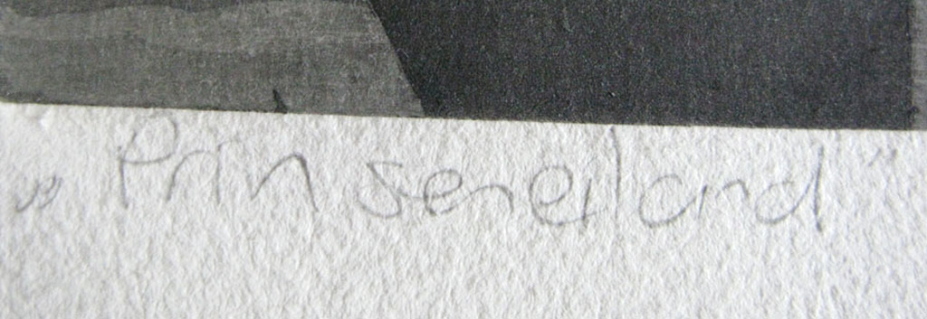 Laetitia de Haas - PRINSENEILAND - ets kopen? Bied vanaf 1!