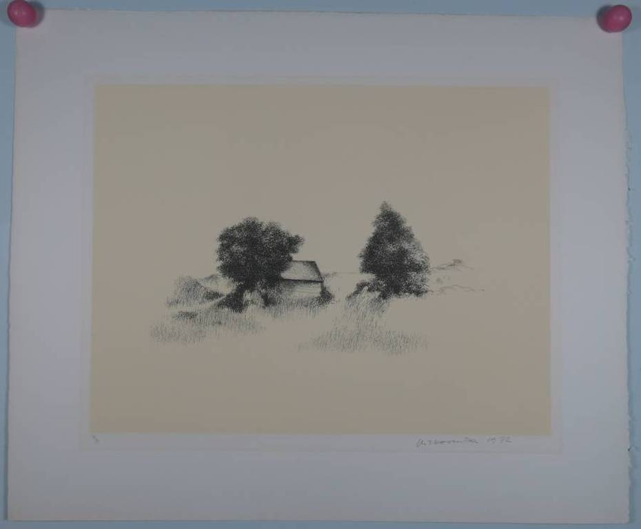 Metten Koornstra: Litho, Landschap met huis kopen? Bied vanaf 1!