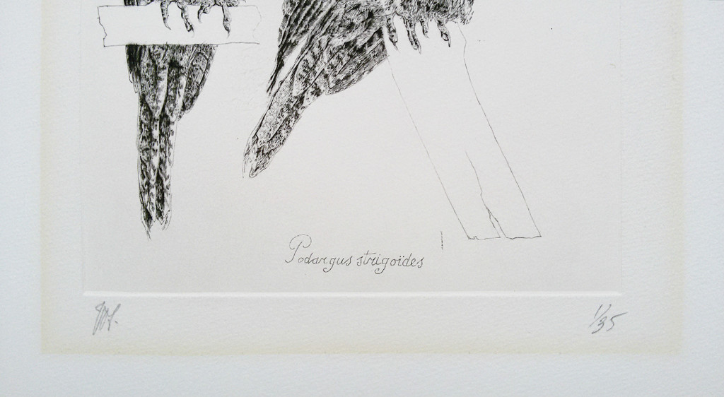 Peter Vos - Podargus strigoides, droge naald ets (eerste druk) kopen? Bied vanaf 115!