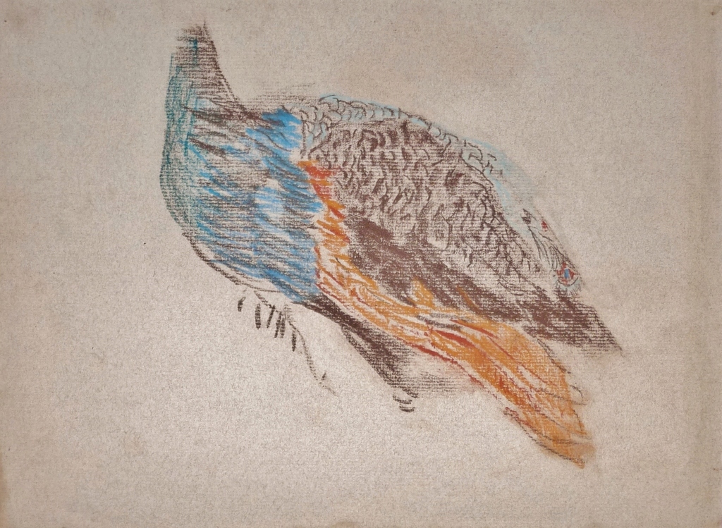 Willem de Zwart, Pastel, Pauw kopen? Bied vanaf 65!