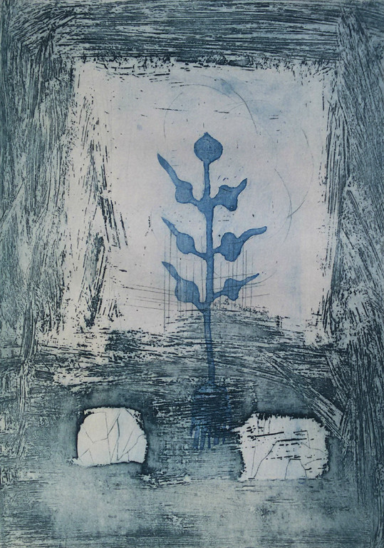 Jan Montyn - Flower of Nong Khai I, aquatint ets kopen? Bied vanaf 175!