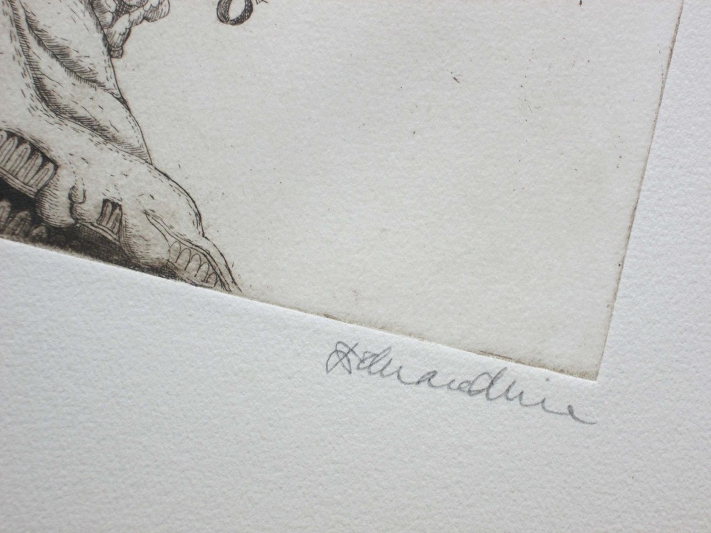 onbekende kunstenaar - ets - handgesigneerd en genummerd met p.a. kopen? Bied vanaf 1!