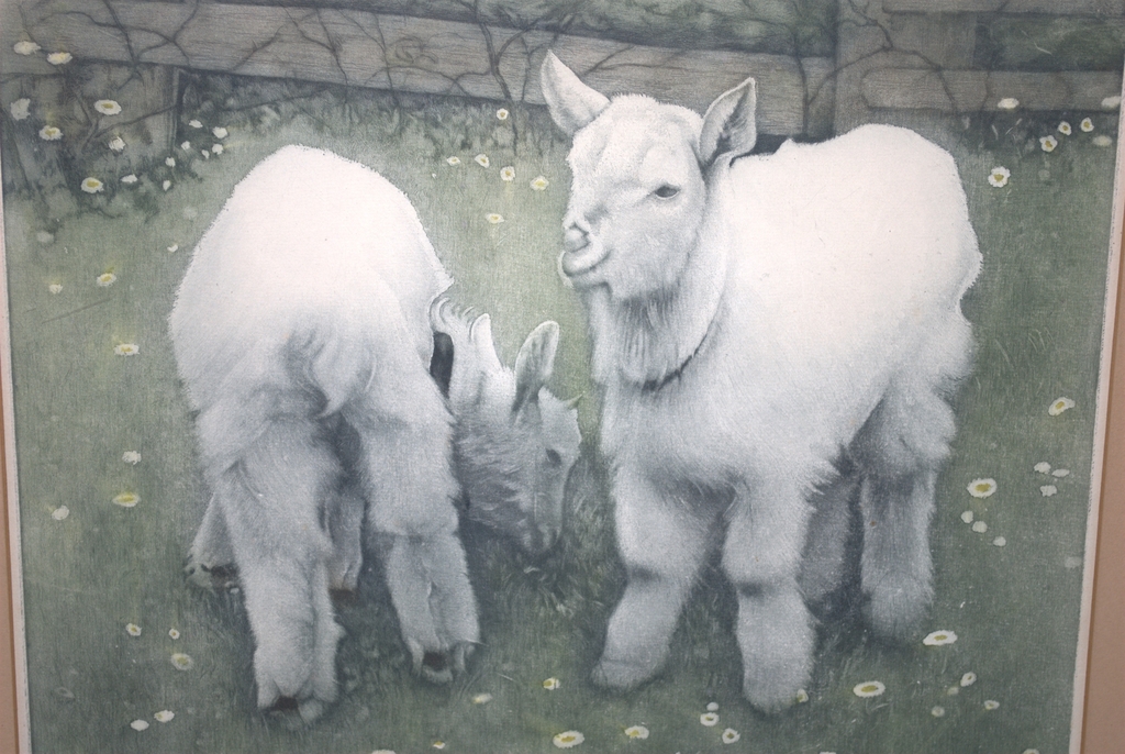 2 GEITJES - GROTE KLEURENETS UIT 1939 - EPREUVE D'ARTISTE kopen? Bied vanaf 159!