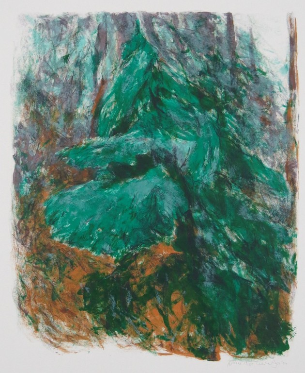 Marian Plug: Litho, Noord kopen? Bied vanaf 1!