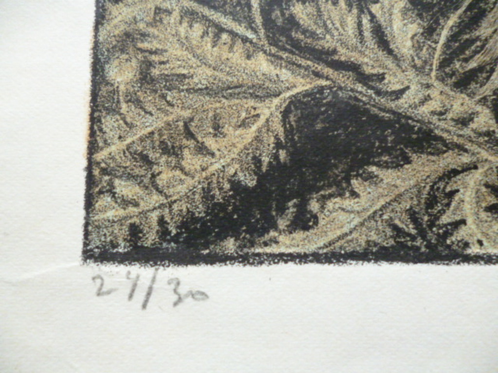 H.B.Dieperink - kleurenlitho - Zonnebloemen kopen? Bied vanaf 30!