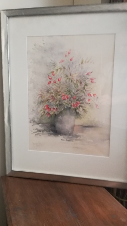 Jan Goselinck - aquarel - Rozenbottel kopen? Bied vanaf 55!