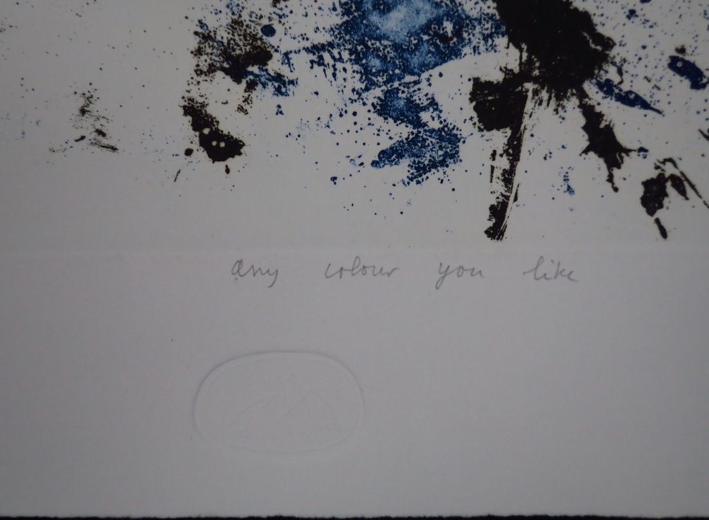 Tim Hinterding: Ets en aquatint, Any colour you like kopen? Bied vanaf 1!