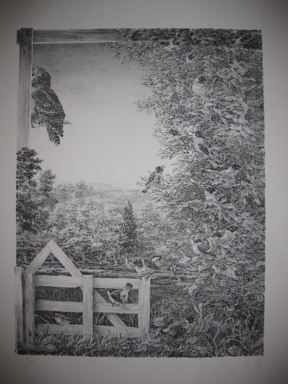 Litho - Peter Vos voor Prent 190 - Getiteld Verte - 1976 verkocht voor € 100!