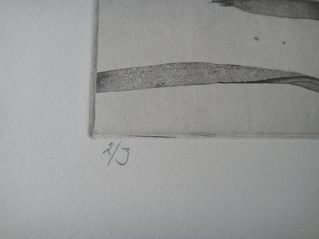 Jan Prins (1956) - (zeldzame) ets - tropische bloemen I kopen? Bied vanaf 1!