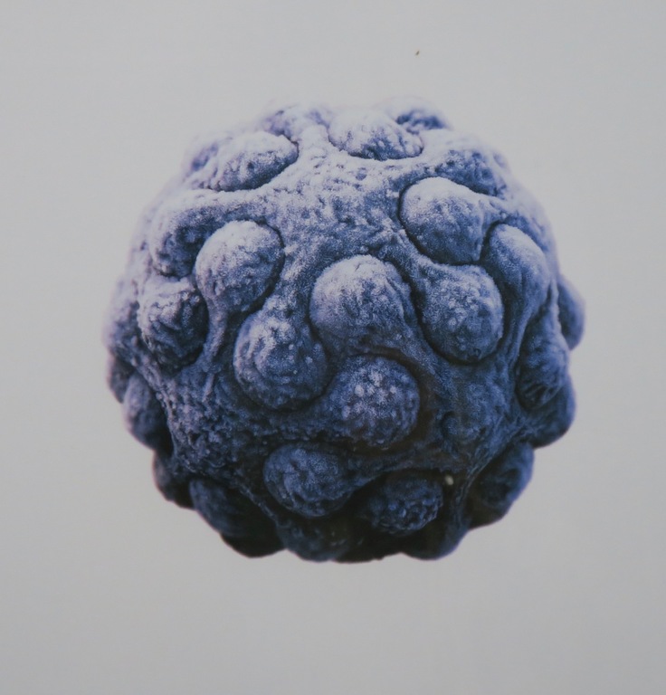 Coen Pausma: Zeefdruk, Zonder titel (ijs) - Ingelijst kopen? Bied vanaf 20!