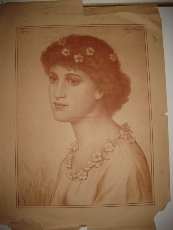 Diverse 19e eeuwse bladen grafiek - staalgravure 7x kopen? Bied vanaf 10!