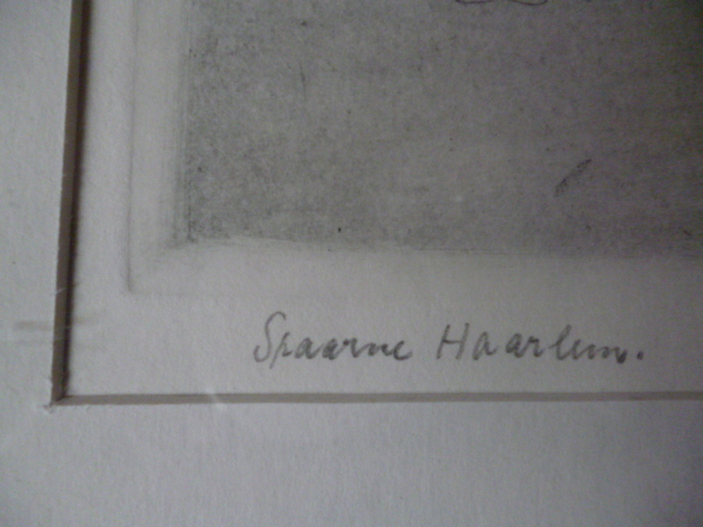 Spaarne, Haarlem kopen? Bied vanaf 50!