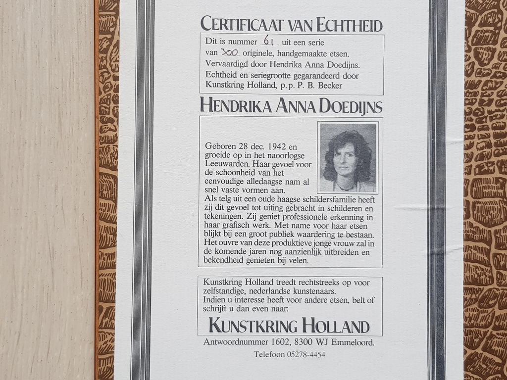 Anna Doedijns - Anna Doedijns - Leeuwarden de Waag - Gesigneerde lijnets kopen? Bied vanaf 40!