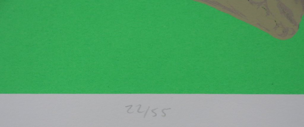 Jos van der Sommen: Litho, Later kopen? Bied vanaf 20!