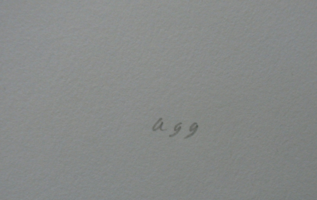 Armando - litho: confrontaties tussen potlood en papier (bomen)  kopen? Bied vanaf 225!