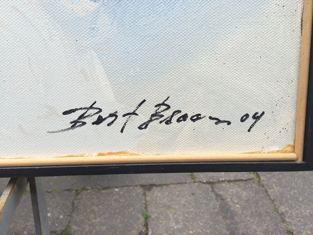 Bert Braam - Droom van de Vogel kopen? Bied vanaf 425!