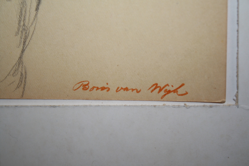 EROTIEK - UITKLEDENDE NAAKTE DAME  - BORIS VAN WIJK kopen? Bied vanaf 1!