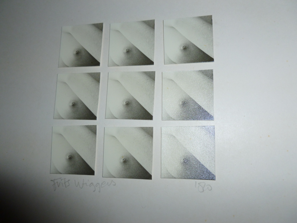 Tof werk van Frits Wiggers (Den Haag 1945).Foto-papiercollage. kopen? Bied vanaf 12!