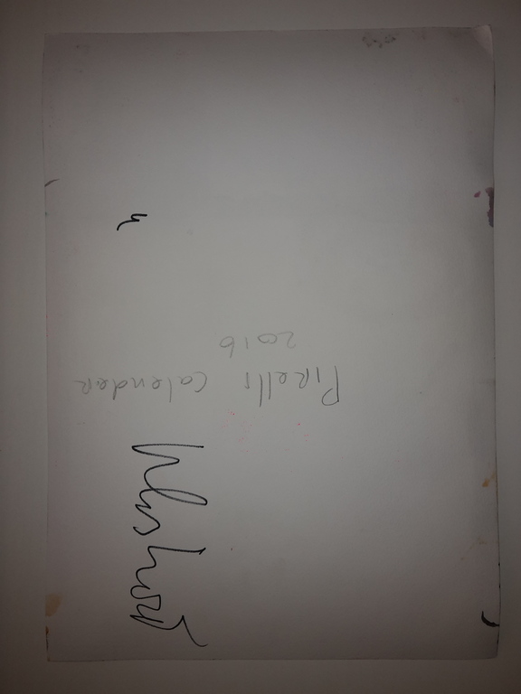 Peter Klashorst - Pirelli calender - gemengde techniek op papier - gesigneerd kopen? Bied vanaf 75!